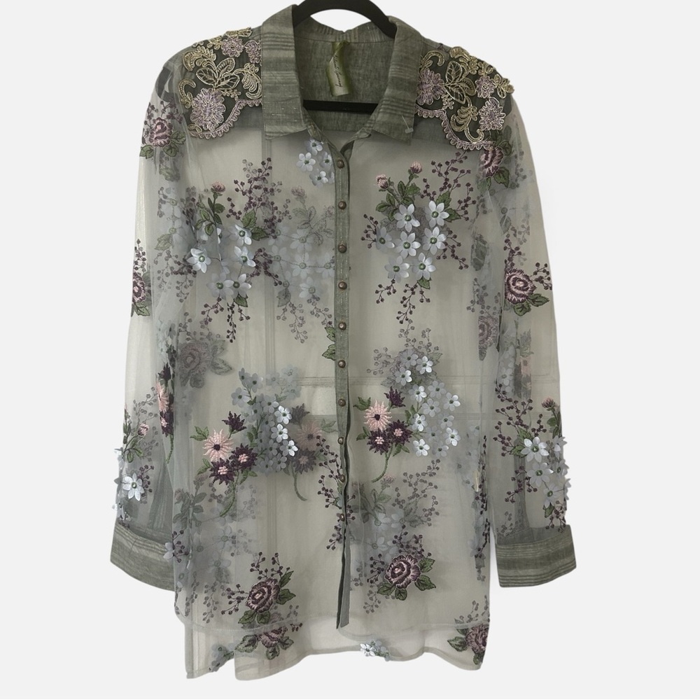 Aratta Silent Journey Embroidered Sheer Button-Down Shirt in Sage Green
